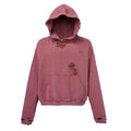 F2CE vintage solid color worn loose wide basic versatile hooded sweatshirt with metal logo collision casual hoodie trend